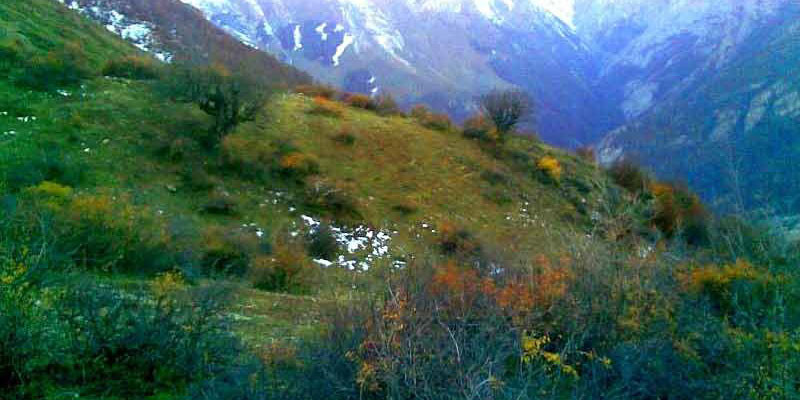 منطقه حفاظت شده بلس کوه