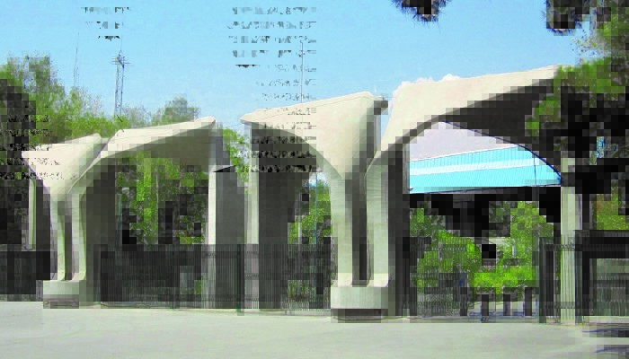 خیابانگردی در تهران