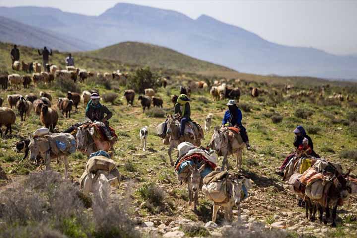 این قشقایی در دوران مختلف حکومتی در ایران