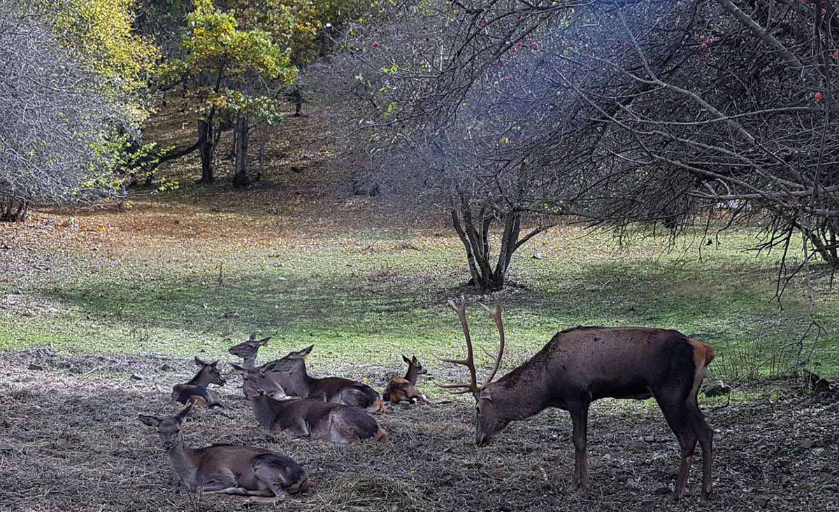 بازدید از روستای بسیار زیبا و منحصر به فرد آینالو