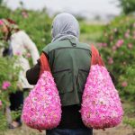 سفر به دل تاریخ در شهر کاشان