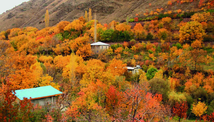 رودهن
