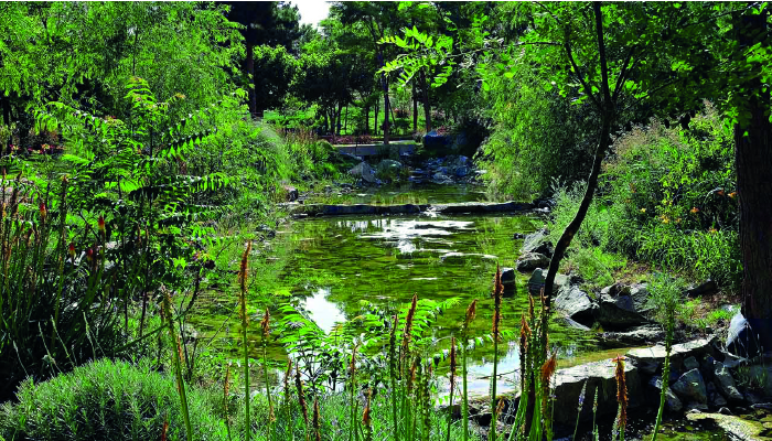 سفربازی - زیبا کنار