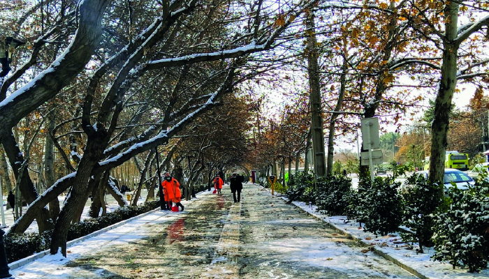 سفربازی - پیاده روی در پارک ملت