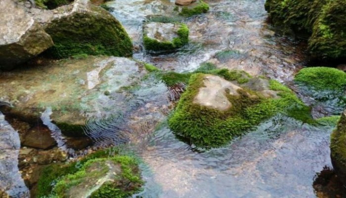 سفربازی - چشمه دمکش