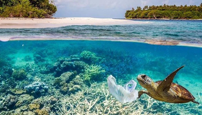 سفربازی - نقش حیاتی اقیانوسها تو زندگی موجودات زنده