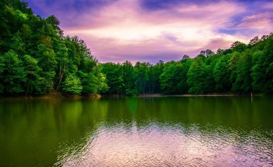 دریاچه چورت، دریاچه‌ای رویایی در دل جنگل