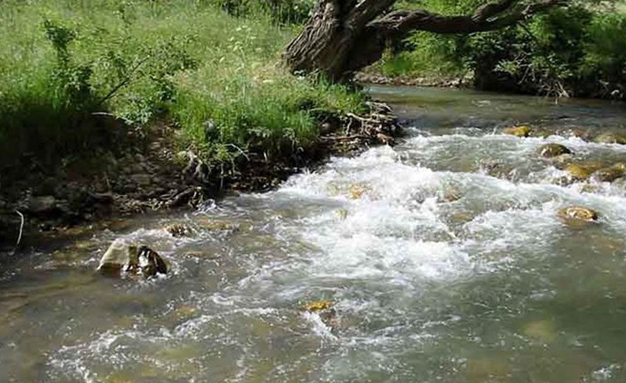 منطقه حفاظت شده رودخانه تجن ساری، طبیعتی بکر و زیبا برای آیندگان 
