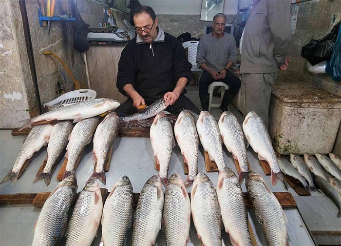 سفربازی _ بازار ماهی فروشان رامسر