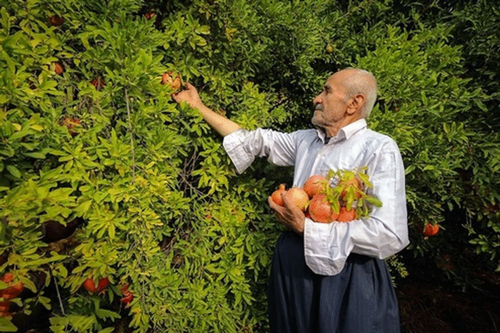 سفربازی _ طبیعت روستای ژیوار