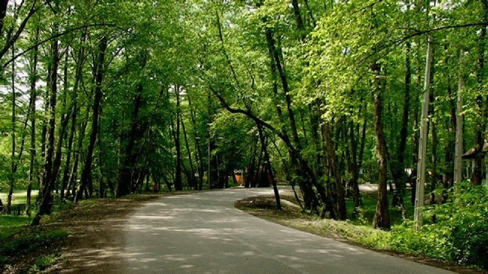 سفربازی - مسیر چمستان