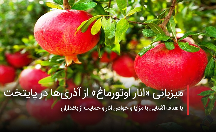 سفربازی - میزبانی «انار اوتورماغ» از آذریها در پایتخت