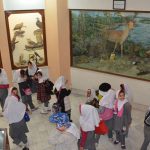 سفربازی - موزه تاریخ طبیعی اهواز