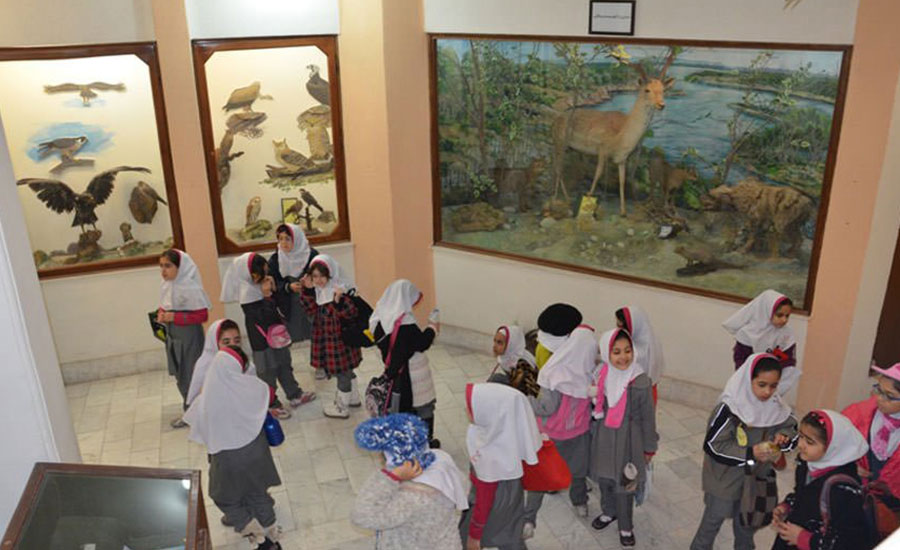 موزه تاریخ طبیعی اهواز، نمایی از اکوسیستم‌های طبیعی خوزستان