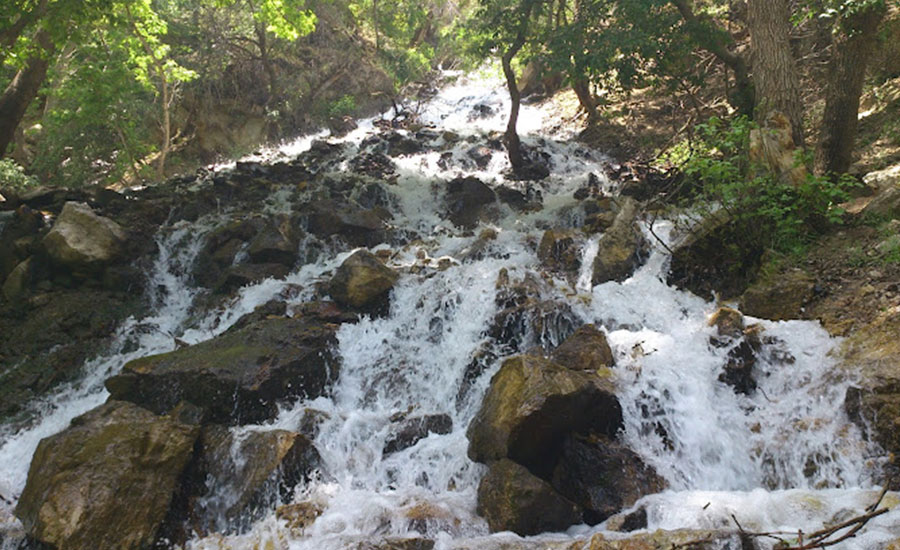 آبشار وارک، جذاب‌ترین دوقلوی طبیعت