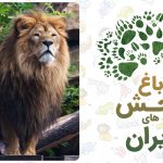 سفربازی - روز بازدید از باغ وحش، روز آشتی با حیوونا