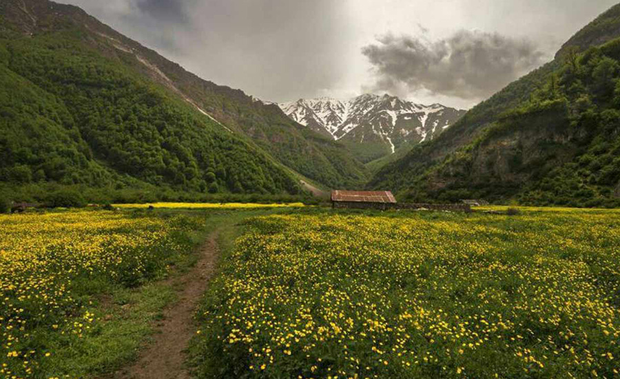 جنگل‌های دو هزار و سه هزار، بهشتی در شمال ایران