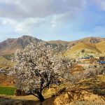 سفربازی - پارک ملی خجیر