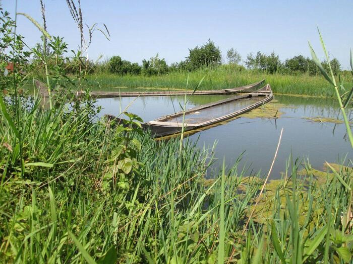 نمایی از پارک ملی بوجاق - سفربازی