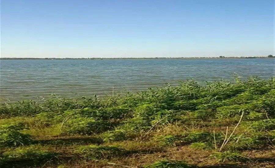 تالاب حمیدآباد ساری، تالابی دیدنی با طبیعتی بکر