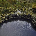 چشمه آبگرم گنویه دشتی، چشمه ای با خاصیت درمانی فراوان