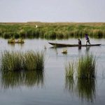 تالاب ناصری خرمشهر، یا تالاب نیشکر شهر خرمشهر