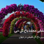 بازگشایی مجدد باغ گل دبی