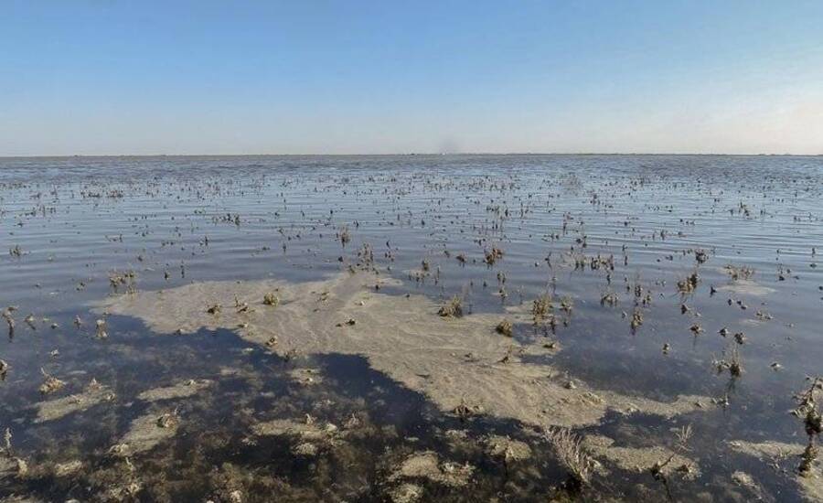 تالاب گمیشان بندرترکمن، تالابی بین المللی