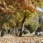 پارک ملت سنندج، پارکی دیدنی برای گردشگران شهر