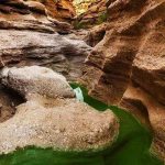 چشمه مرتضی علی طبس، چشمه ای مهم برای گردشگران شهر