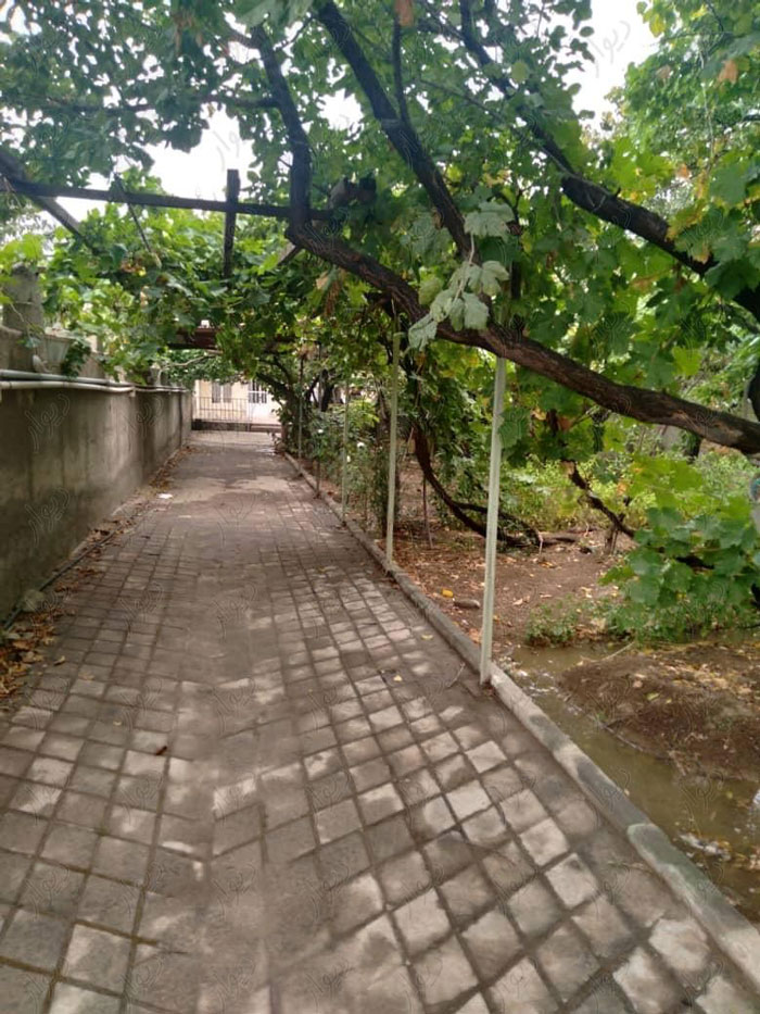 سفربازی - آب و هوای شهرک افشاریه