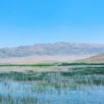 سفربازی _ تالاب گندمان