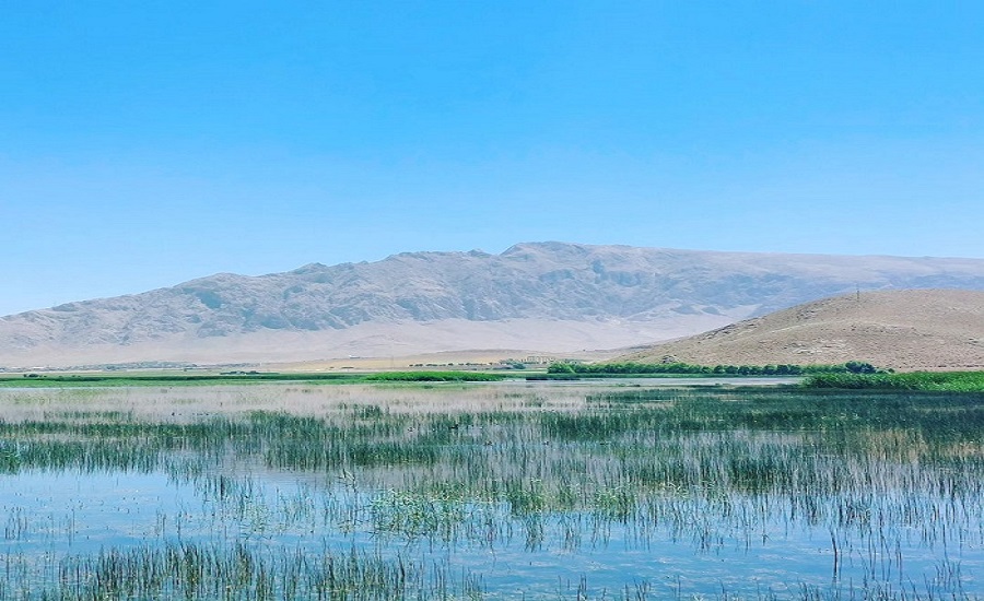 تالاب گندمان؛ یک جادوگر بزرگ