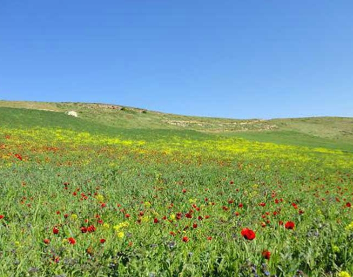 سفربازی-دره جنگلی ایردموسی سرعین
