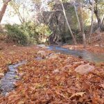 تنگ گنجه ای یاسوج، تنگه ای در کوه های دنا