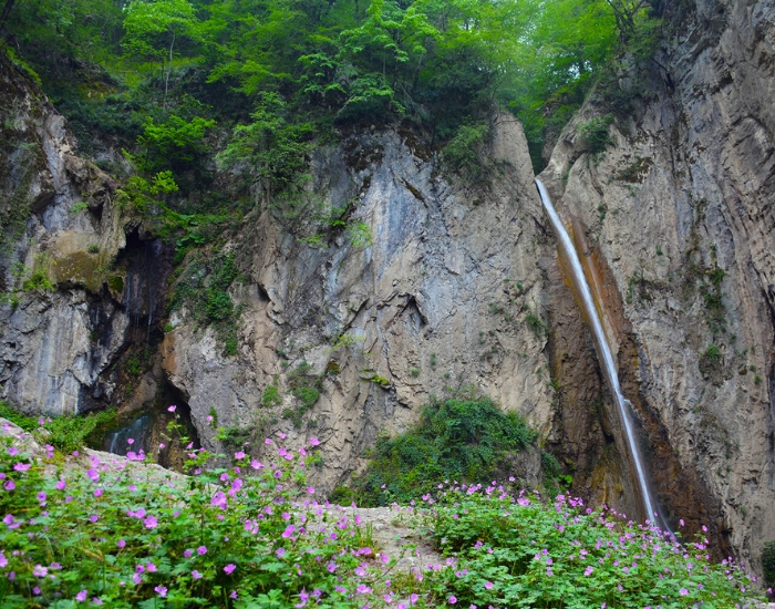 سفربازی-آبشار زیارت در جنگل