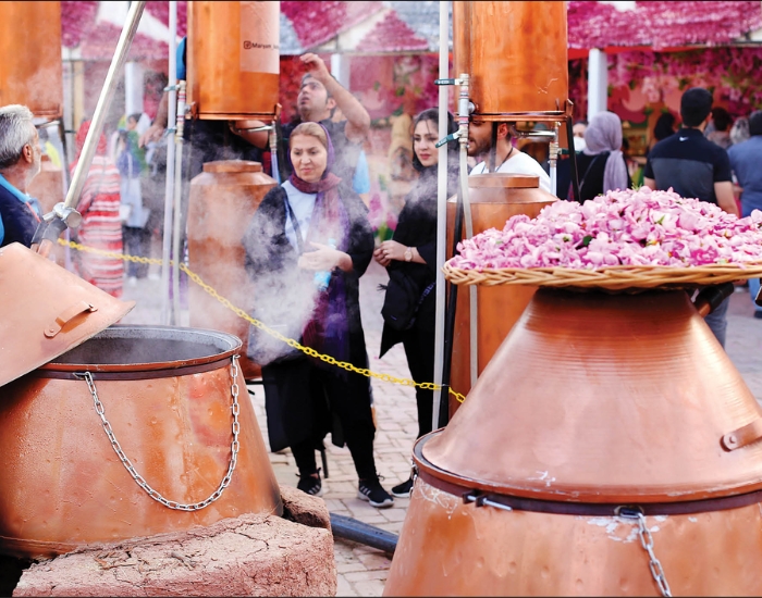 مراسم گلابگیری کاشان