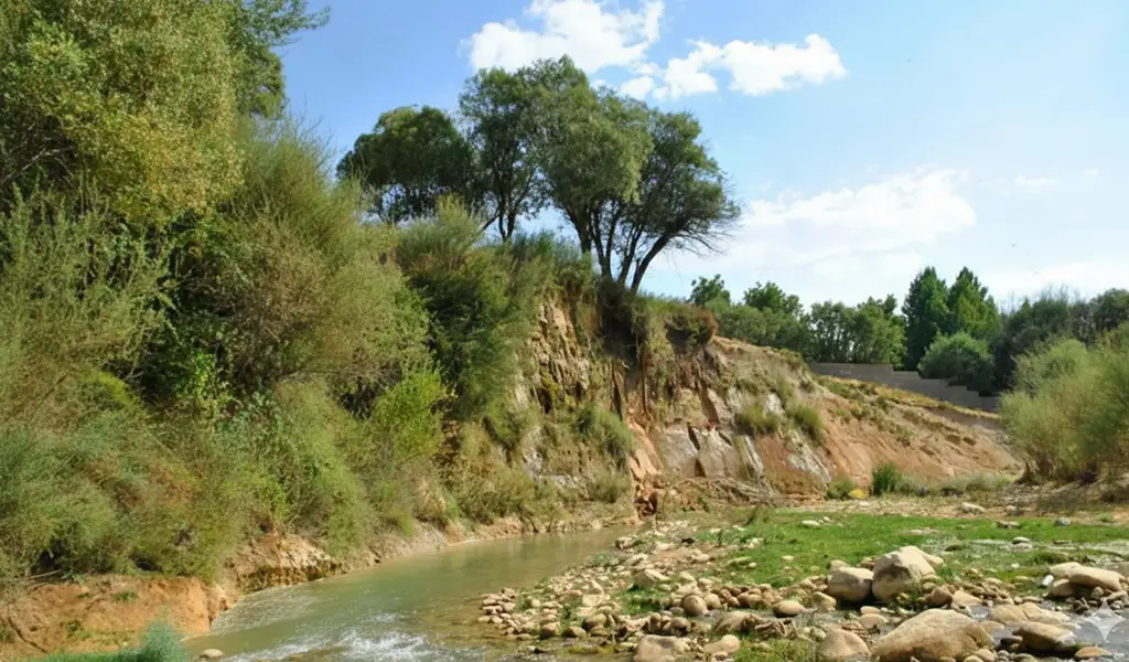 چشمه خارگان