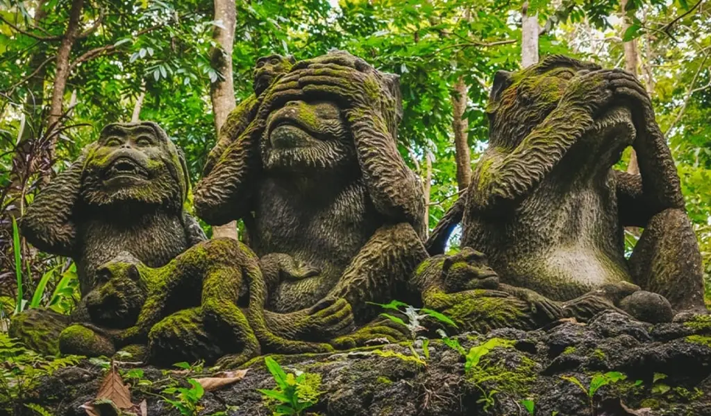 جنگل میمون‌های اوبود