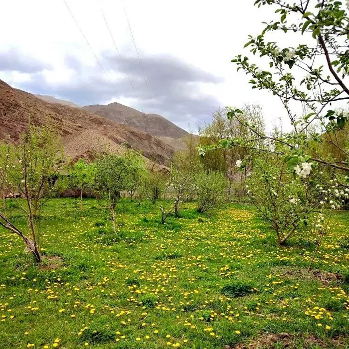 سفربازی - روستای تاکر