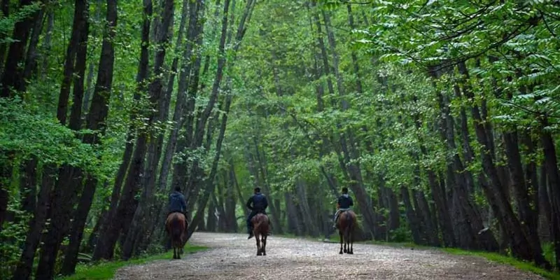 جاذبه های روستای سینوا چالوس