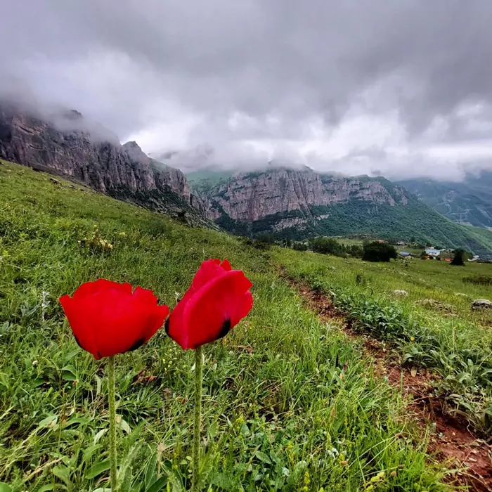 سفربازی - هریجان