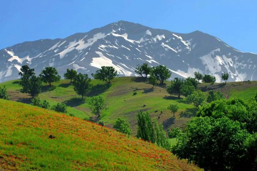 اطلاعات سفر به استان چهارمحال بختیاری پوشش گیاهی و آبی