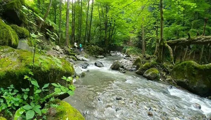 سفربازی - بوستان جنگلی صفارود