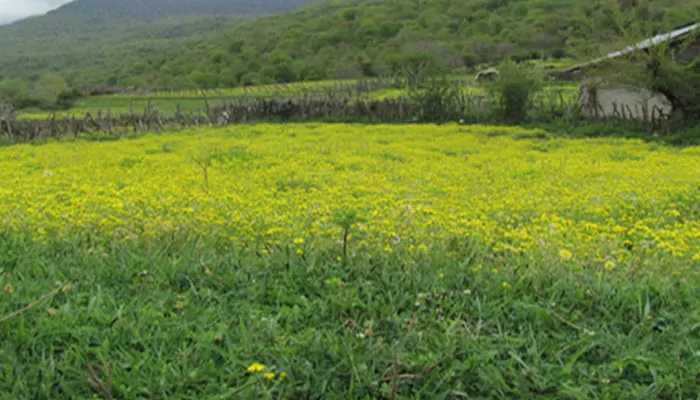 سفربازی - طبیعت روستای ایلال