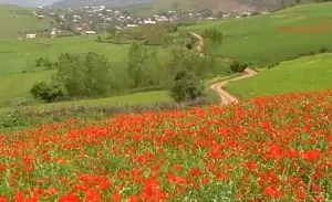 سفربازی - روستای ایلال