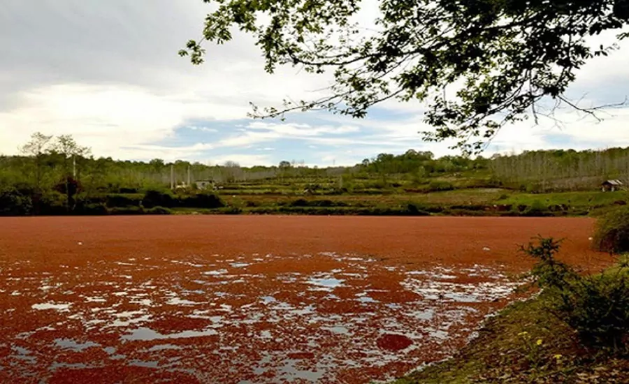 سفربازی - روستای ارزفون