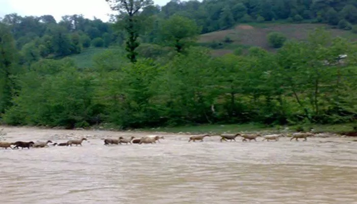 سفربازی - طبیعت روستای کلقوچال