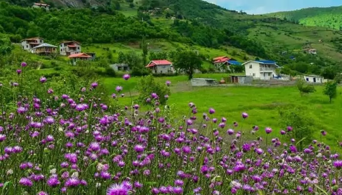 سفربازی - بهار و تابستان روستای اربکله رامسر