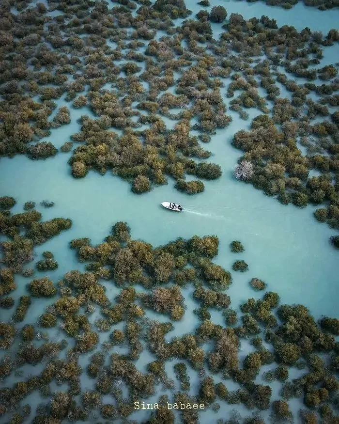 سفربازی - جنگل حرا قشم از نمای بالا